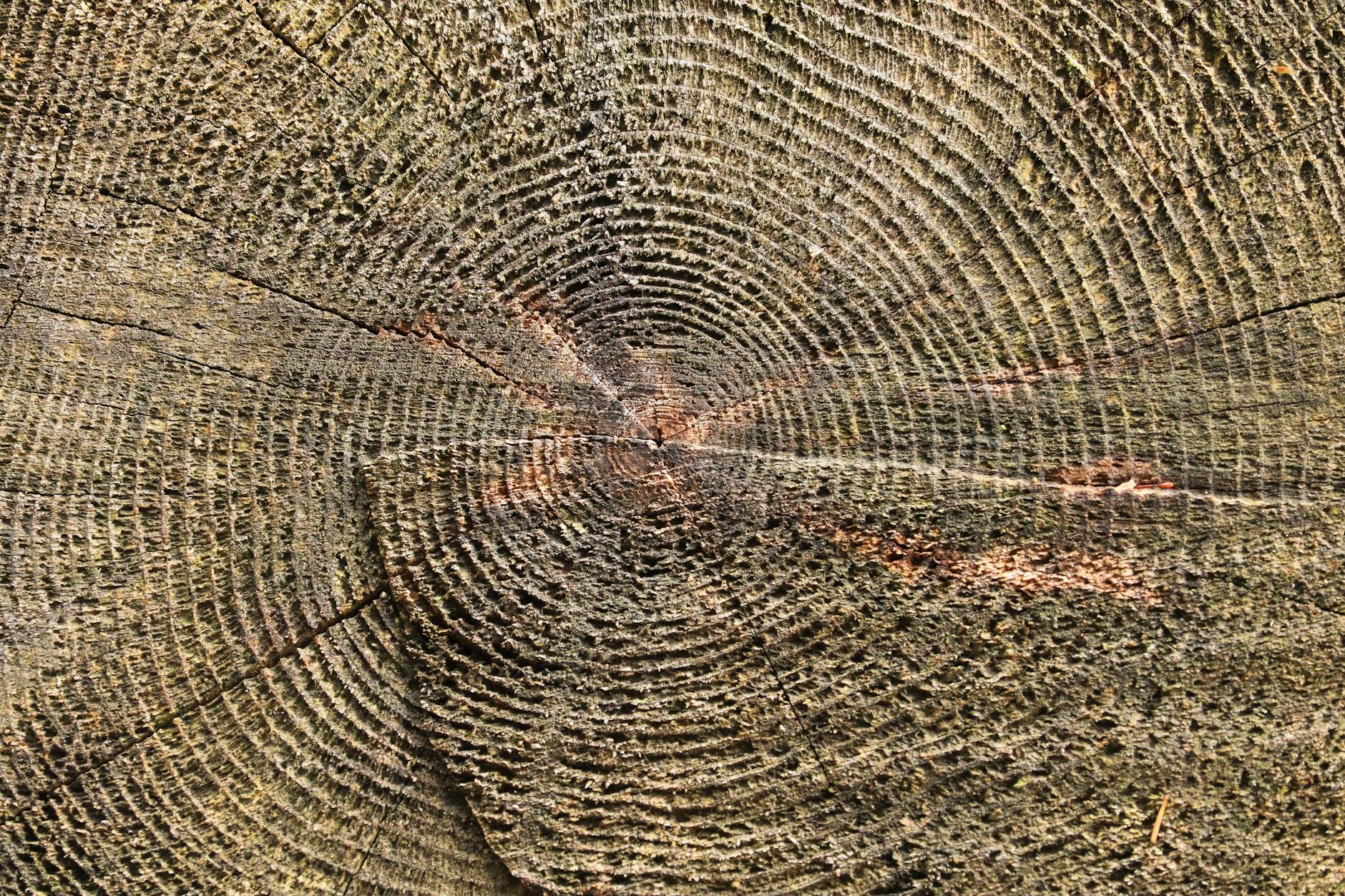 Weathering (Short Story)